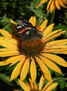 DSCN1535.jpg